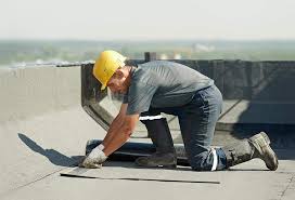 Best Roof Maintenance and Cleaning  in Lake Of The Woods, VA